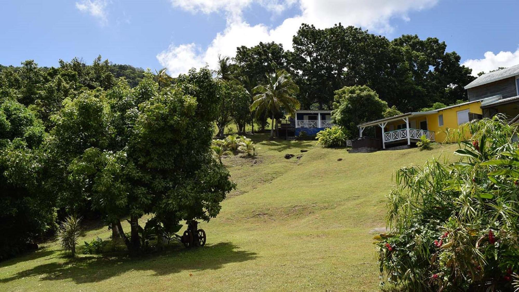 Habitation Pineau Villa Deshaies Exterior photo